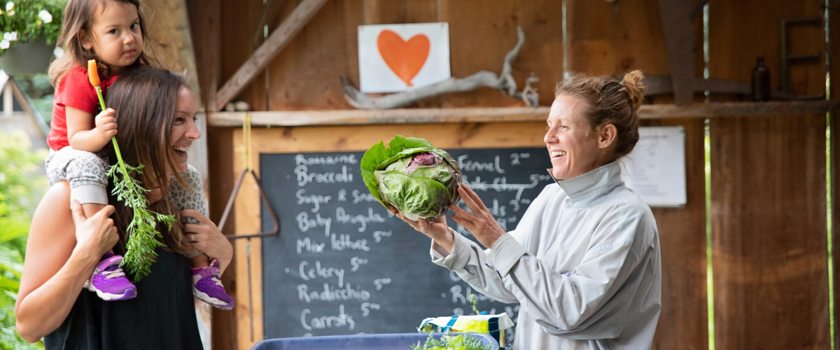farm experience in Georgina