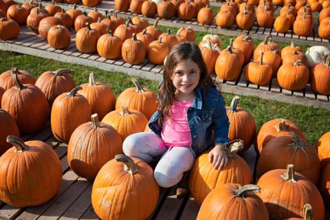 girl sitting in between pumpkins