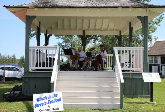 men playing guitar and cello in a gazebo